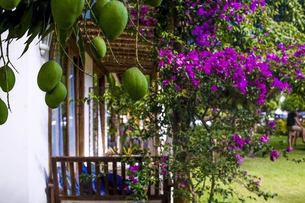 La Em Casa - Guest House Barra Grande  Exterior photo